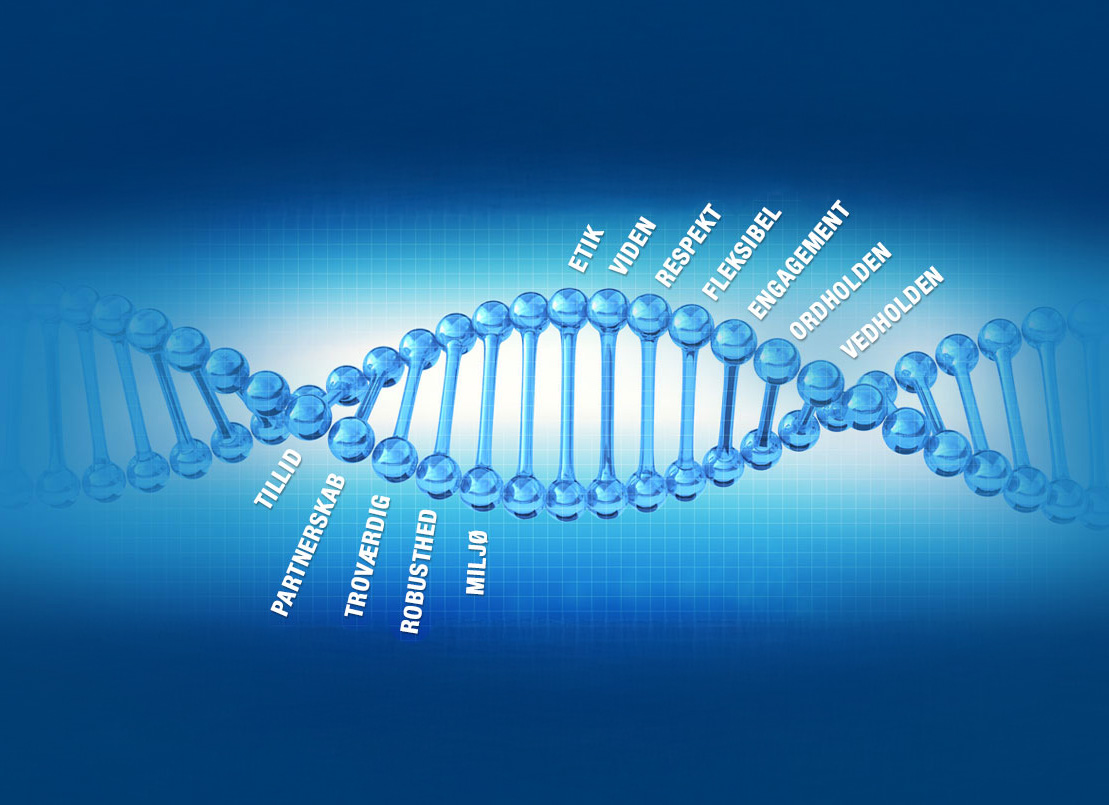 Vores værdier